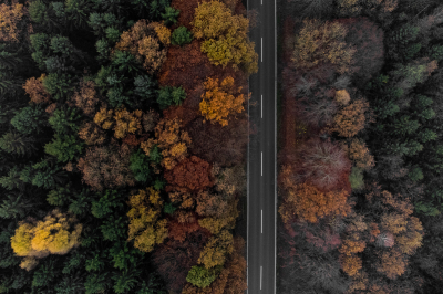 Herbstwald aus der Vogelperspektive